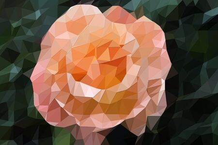 Low polygon Illustration. Colorful flowers in a rural landscape during summer. Sunny with a blue sky.の写真素材