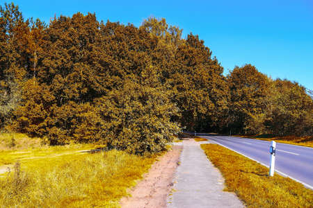 Beautiful panorama view on a golden autumn landscape in the middle of octoberの写真素材