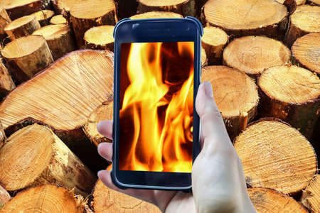 Firewood and fire composing of a female hand holding a smartphone taking a pictureの写真素材