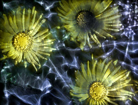 3D-Illustration of spring flowers with high energy kirlian field glowing in different colorsの写真素材