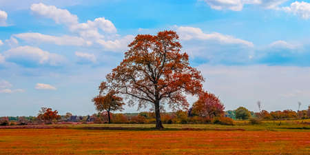 Beautiful panorama view on a golden autumn landscape in the middle of octoberの写真素材