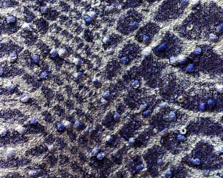 Detailed close up view on samples of cloth and fabrics in different colors found at a fabrics...