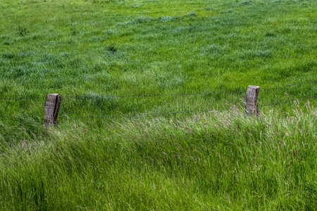 Beautiful wooden horse fence at an agricultural field on a sunny day