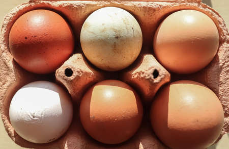 Selective focus view at a box with eggs in brown green and white colors