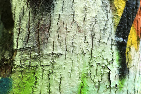 Close up surface of colorful tree bark sprayed with graffiti paintの写真素材