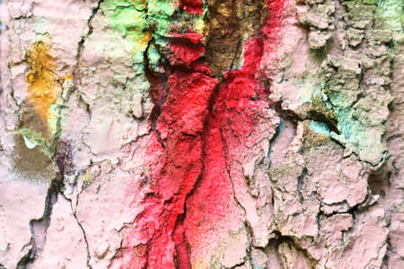 Close up surface of colorful tree bark sprayed with graffiti paintの写真素材