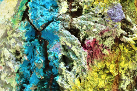 Close up surface of colorful tree bark sprayed with graffiti paint