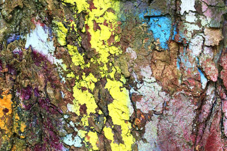 Close up surface of colorful tree bark sprayed with graffiti paint
