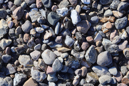 Beautiful stone pebbles at the beach of the baltic sea in the north of Germany