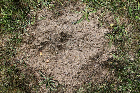 Detailed close up view on a brown sand ground texture in high resolutionの写真素材