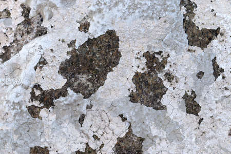 Detailed and colorful close up at cracked and peeling paint on concrete wall textures in high...