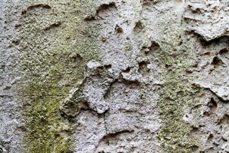 Detailed close up view of aged and weathered concrete walls with cracks and paint in high resolution