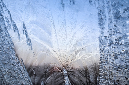 Beautiful ice flowers at a window on a cold winter dayの写真素材