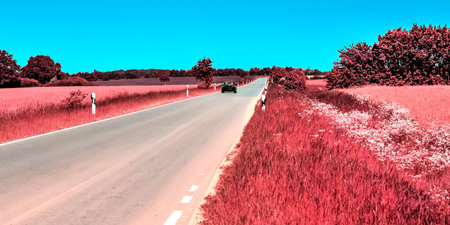 Beautiful purple infrared landscape with a magical look in high resolutionの写真素材
