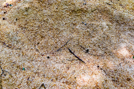 Detailed close up view on different wood surfaces showing planks logs and wooden surfaces in high resolutionの写真素材