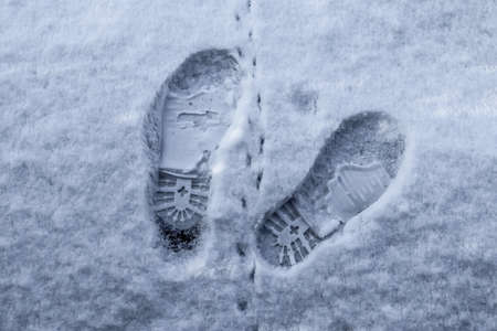 Footsteps of male shoes in fresh white snow in winter.の写真素材