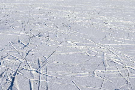 View at a frozen lake during winter with lots of ice skating tracks