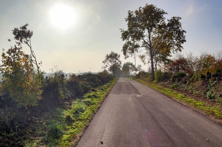 Beautiful view on countryside roads with forests and trees in northern europe.