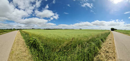 Beautiful high resolution panorama of a northern european country landscape with streets, fields and...
