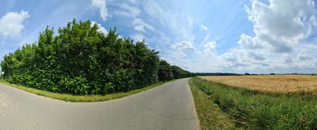 Beautiful high resolution panorama of a northern european country road with fields and green grass.