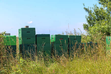 Lots of bee boxes at a field in northern europeの写真素材