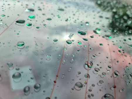 Rain drops on a black metallic car surface in a closeup view