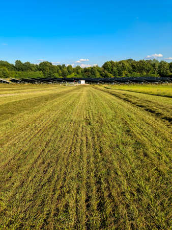 Generating clean energy with solar modules in a big park in northern Europe.