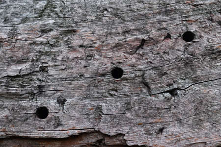 Close up view at old weathered wooden plank backgroundsの写真素材