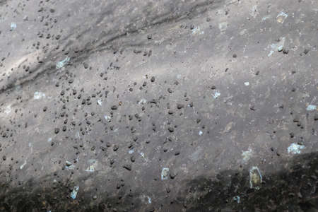 Rain drops on a black metallic car surface in a closeup viewの写真素材