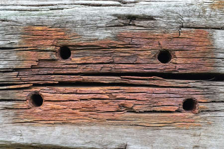 Close up view at old weathered wooden plank backgroundsの写真素材