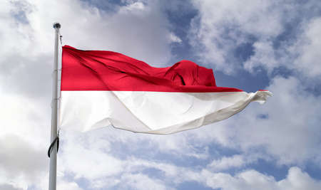 Monaco flag - realistic waving fabric flag