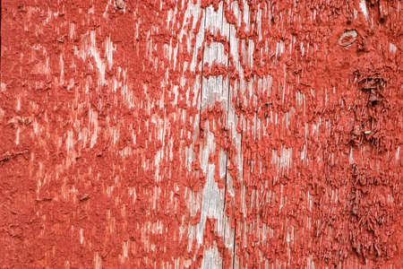 Close up view on different wood surfaces showing planks logs and wooden walls in high resolutionの写真素材