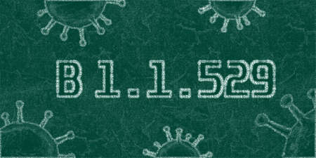 3D-Illustration of a Corona virus Omicron B1.1.529 bannerの写真素材
