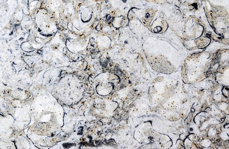 Close up view at the surface marble stoneの写真素材