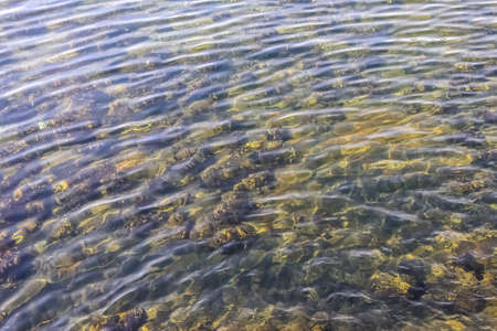 Water surface with waves and ripples and the sunlight reflecting light on a sunny day