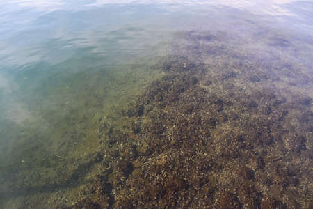 Water surface with waves and ripples and the sunlight reflecting light on a sunny dayの写真素材