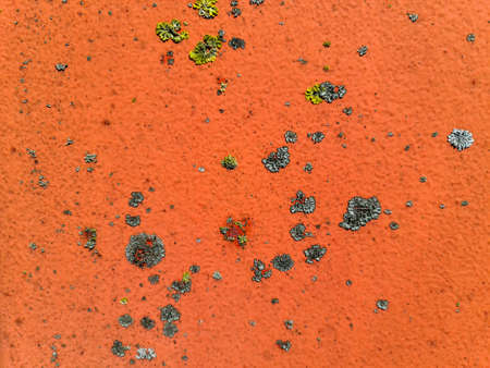 Aged concrete walls on modern and hostorical buildings with cracks and a lot of structure in high...