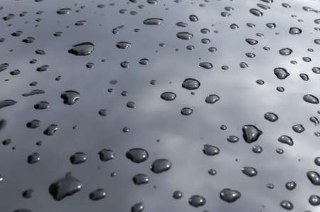 Rain drops on a black metallic car surface in a closeup view