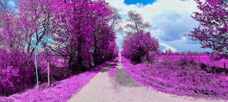 Colorful fantasy landscape in an asian purple infrared photo style