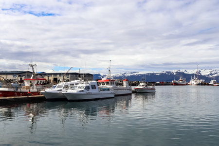 Husavik, Iceland - February 27, 2023: In the Icelandic town of Husavik with tourist ships for whale watchingのeditorial素材
