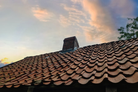 A roof of an old house