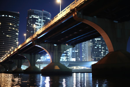 A low angle nightshot of a bridge with a skyline in the backgroundの素材