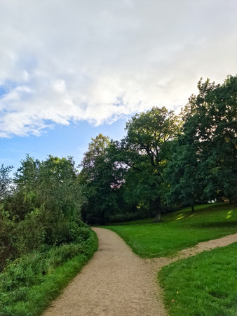 Beautiful trees in the green nature