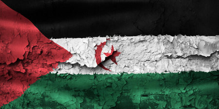 Western Sahara flag - realistic waving fabric flagの写真素材