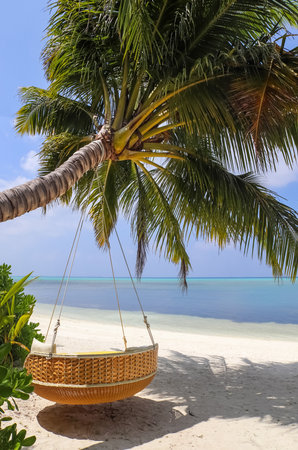 Palm trees on the beautiful beaches of the Maldives in the Indian Oceanのeditorial素材