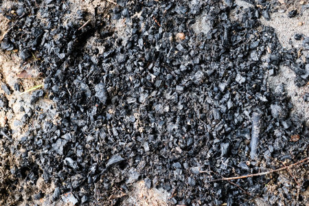 The surface of burnt wood as the remains of a campfireの写真素材