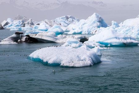Large iceberg with birds on top