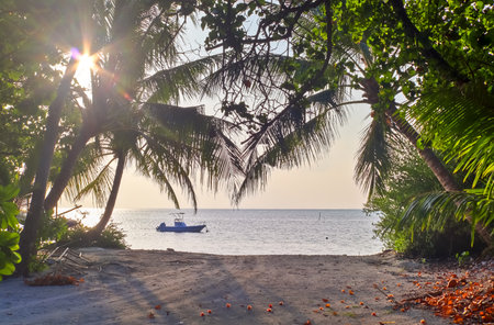 Sunset illuminates a tropical beach with palm trees and a boat in the maldivesの写真素材