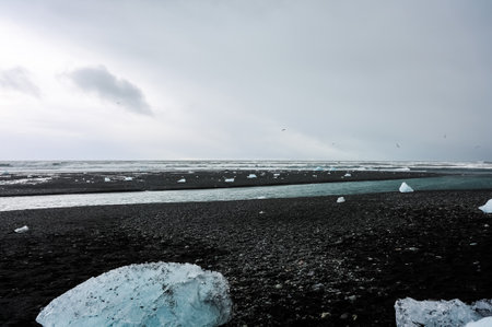 Ice from jokulsarlon glacier lagoon melting on the black sand beach of diamond beach, creating a...