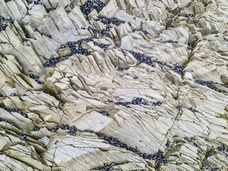 Basalt rock formations showcasing small black stones, creating intricate natural patterns along the...